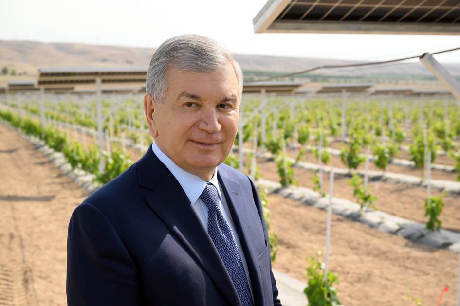 Президент Қувада жорий этилган агроволтаика технологияси билан танишди